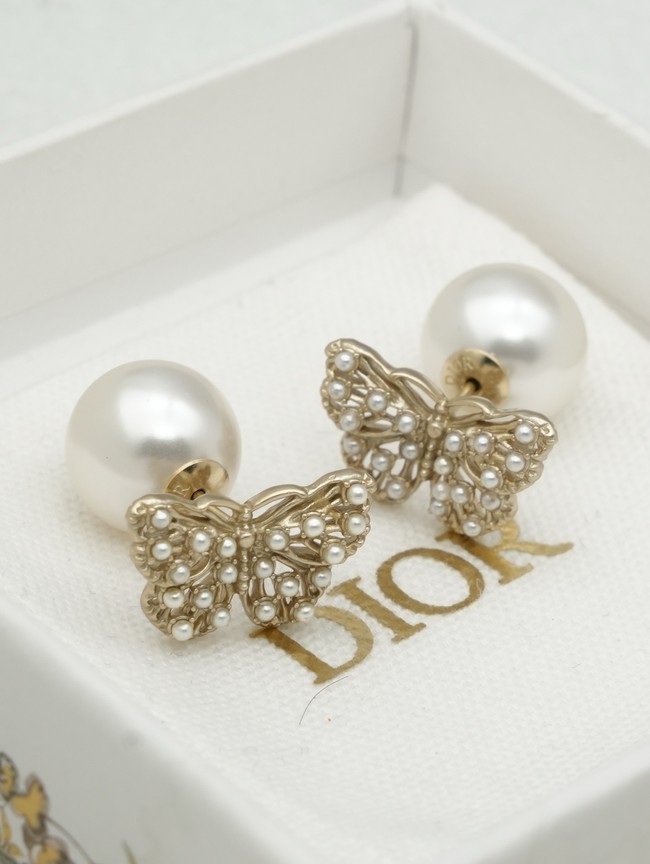Dior Earring CE16653