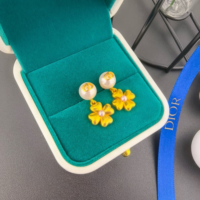 Dior Earring CE16728