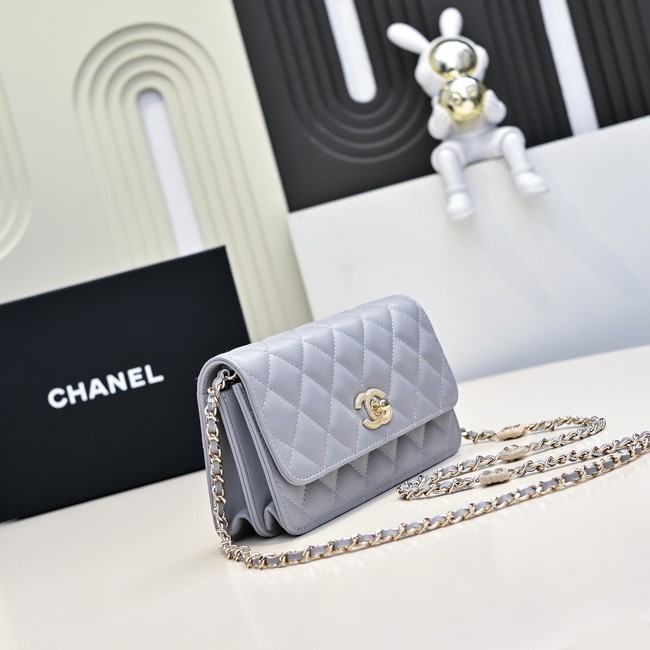 Chanel WALLET ON CHAIN AP4300 gray