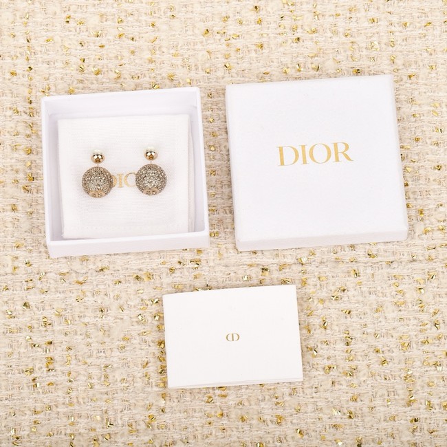 Dior Earring CE16854