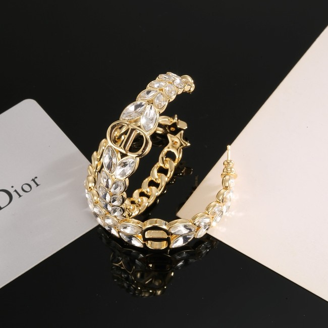 Dior Earring CE16969