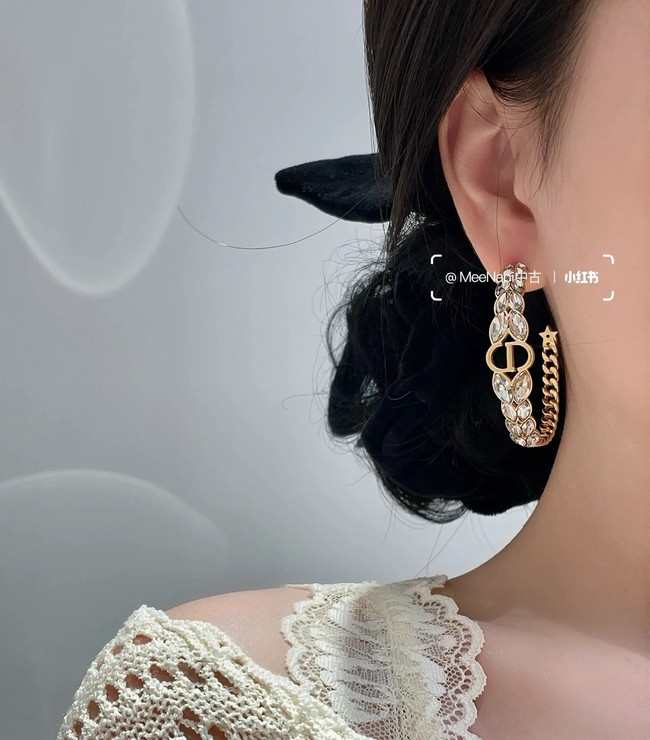 Dior Earring CE16969
