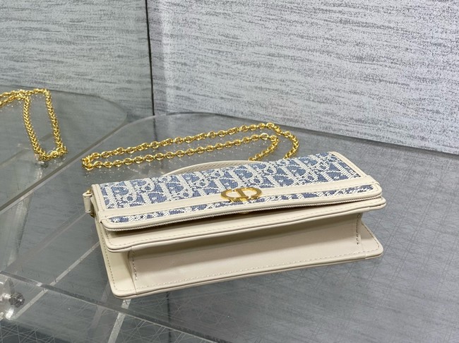 DIOR 30 Montaigne Cigale Pouch with Chain S4302