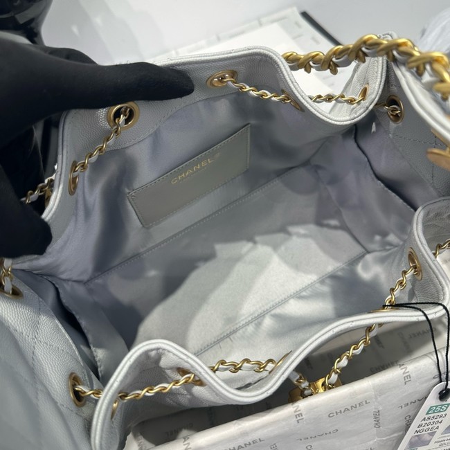 CHANEL 25 SMALL HANDBAG AS5293 light gray