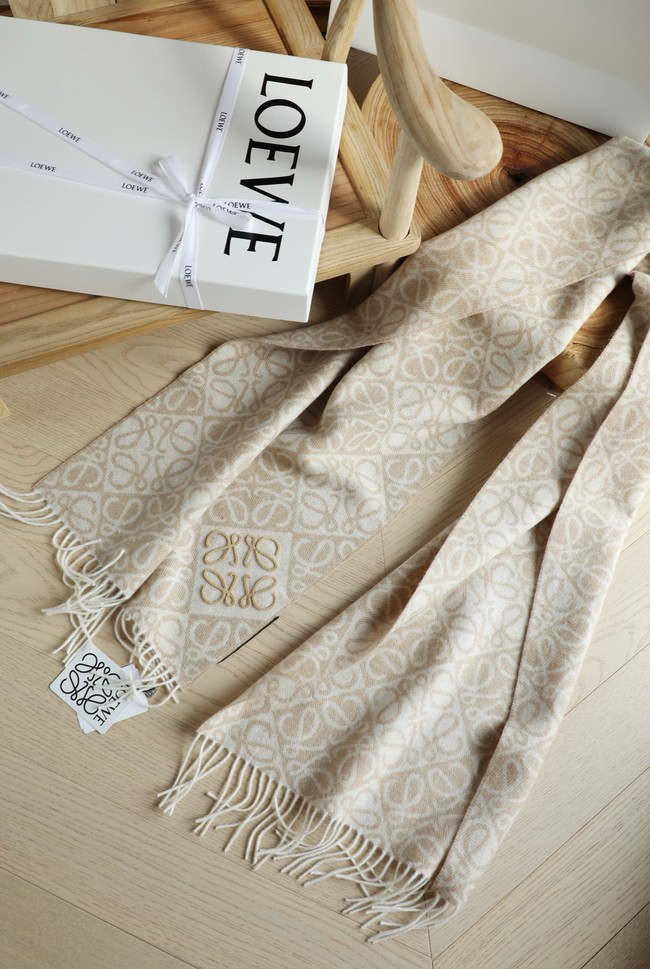 Loewe Cashmere Scarf 06383