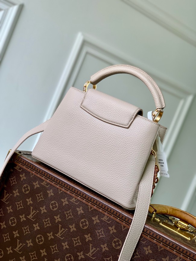 Louis Vuitton Capucines MM M24684 GRAY