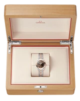 Seamaster Aqua Terra 150M 30 mm 220.20.30.20.63.001