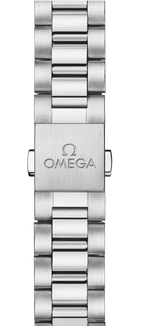 Seamaster Railmaster 150M 38 mm 235.10.38.20.06.001