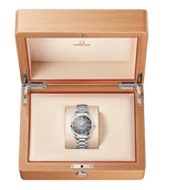Seamaster Railmaster 150M 38 mm 235.10.38.20.06.001