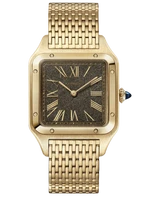Santos-Dumont watch WGSA0123