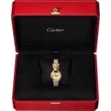 Panthère de Cartier watch HPI01297